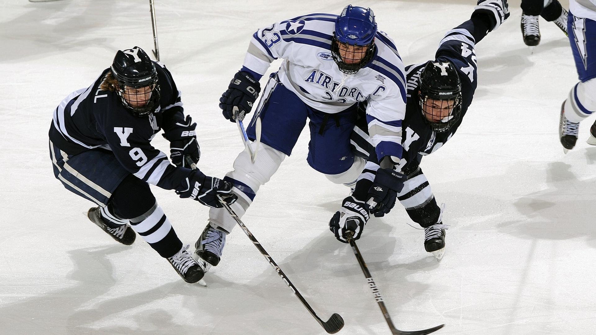 体育新闻中心协办全国体育数字传媒创新大会，体育数字化平台